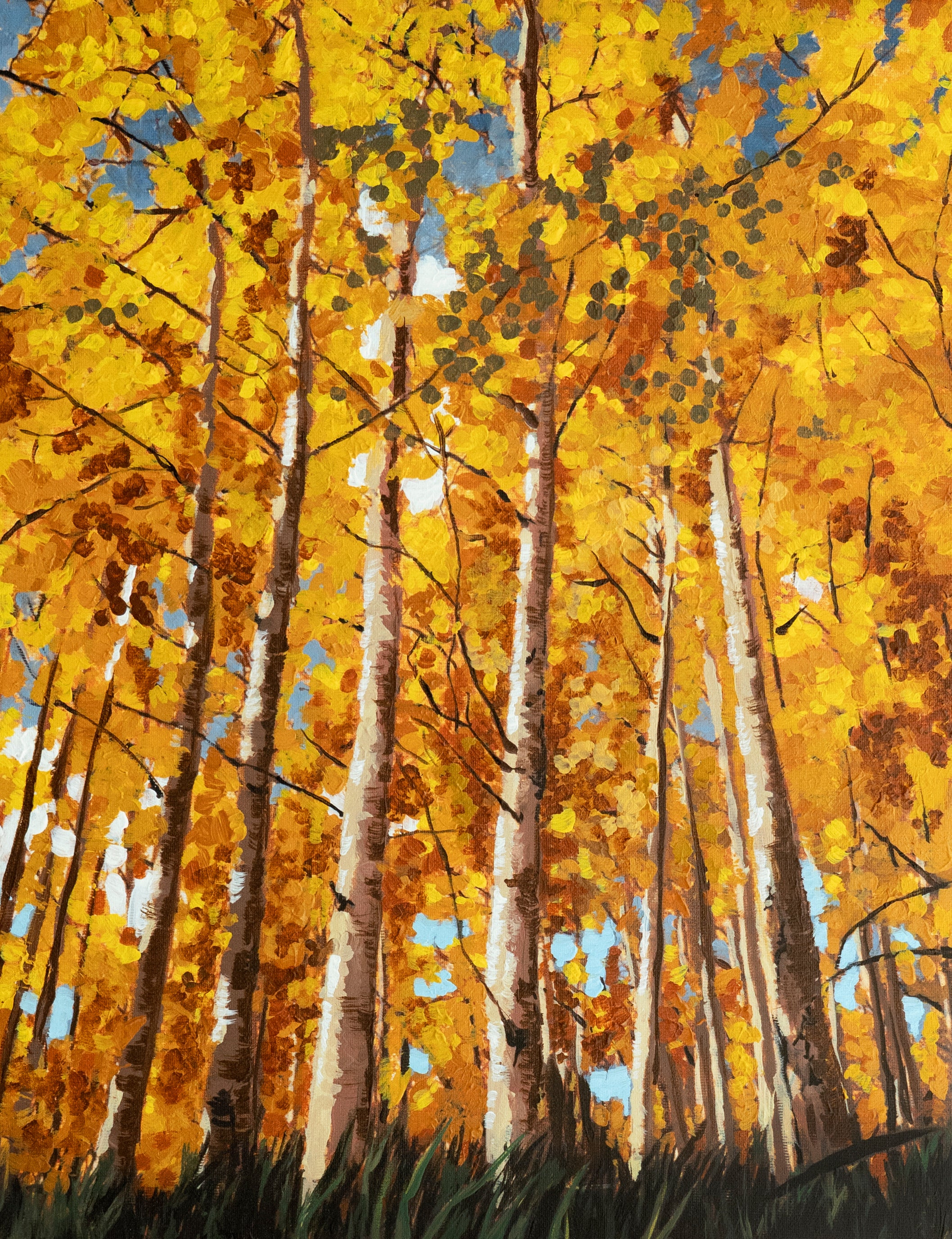 Aspen Grove