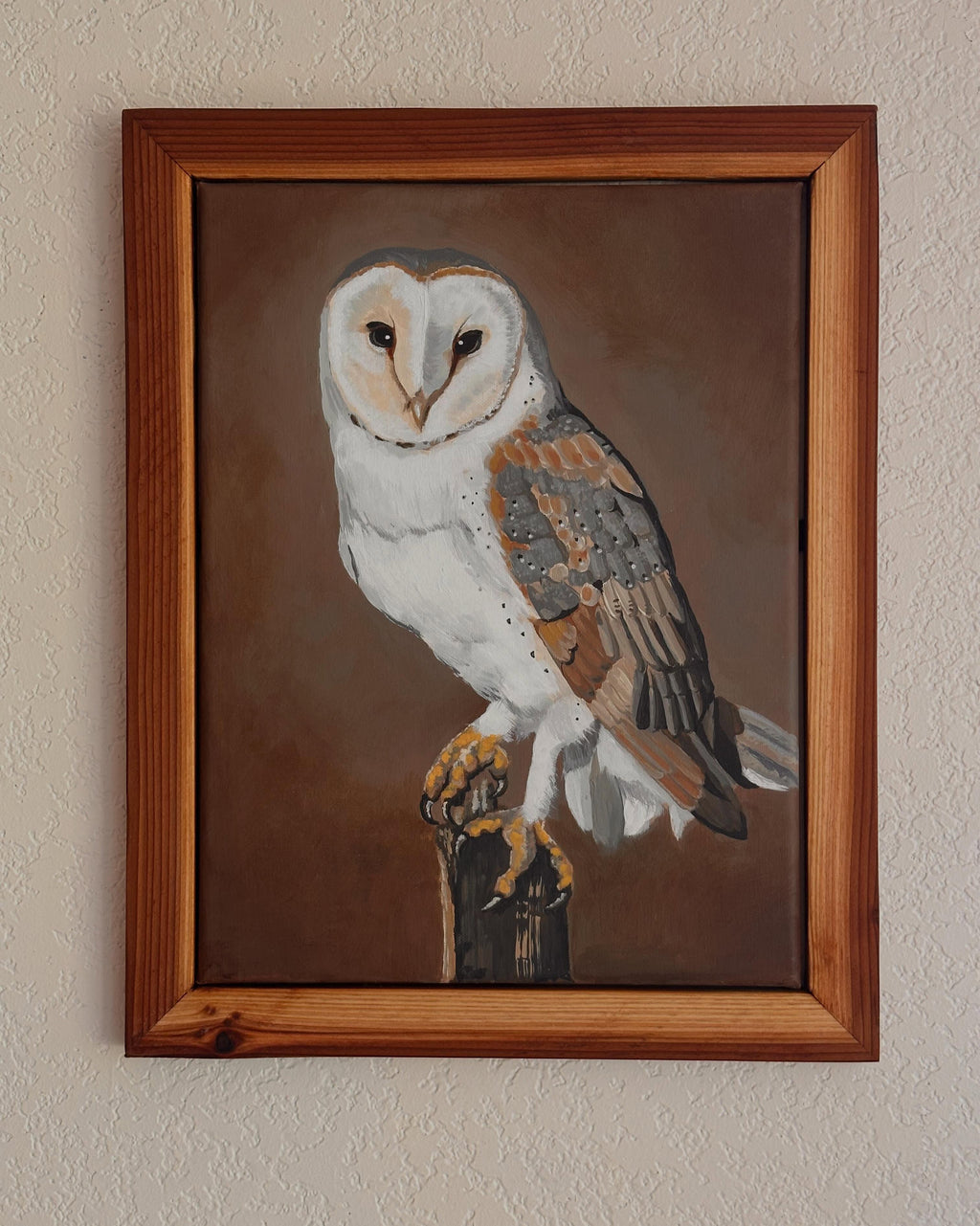 Barn Owl