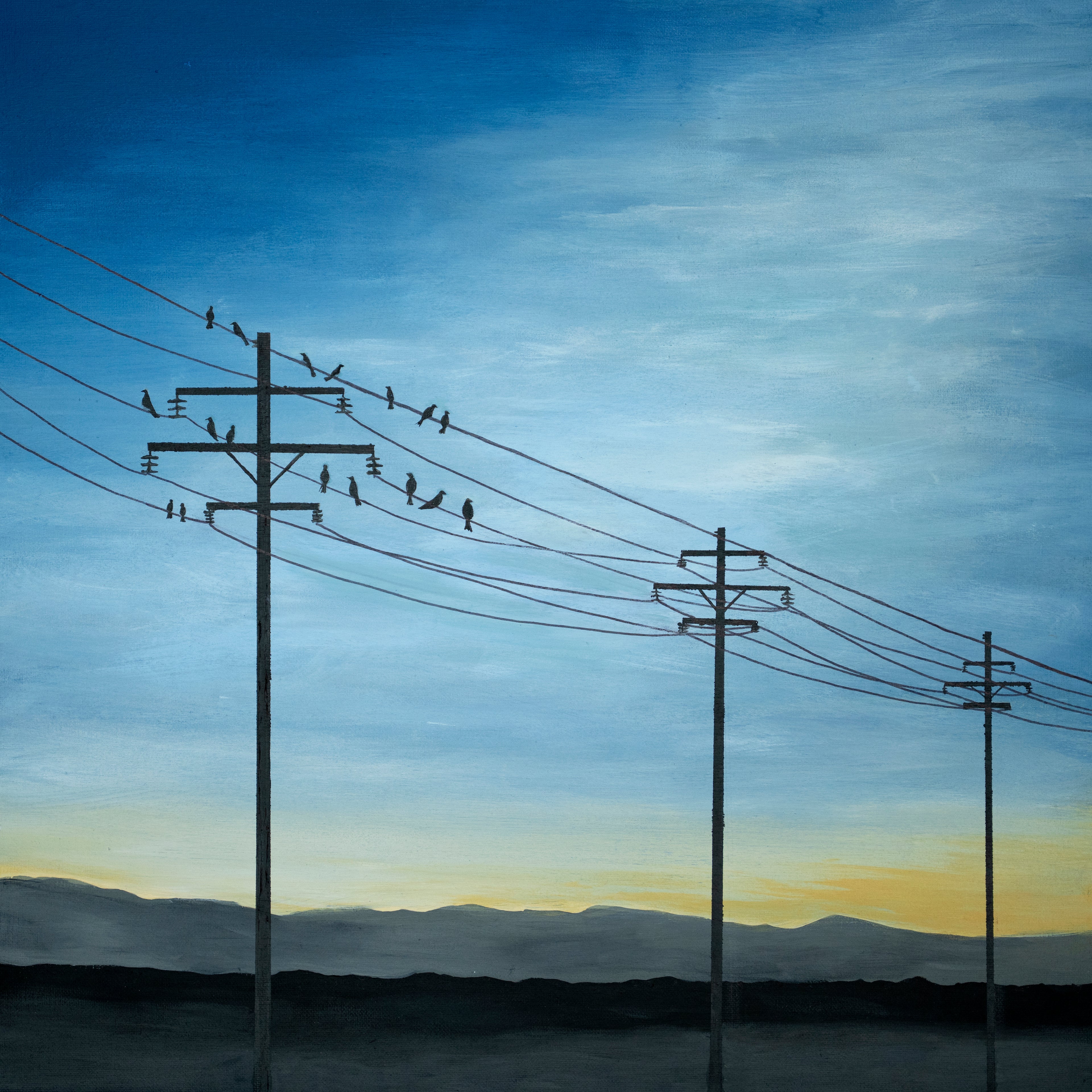 Birds on the Line