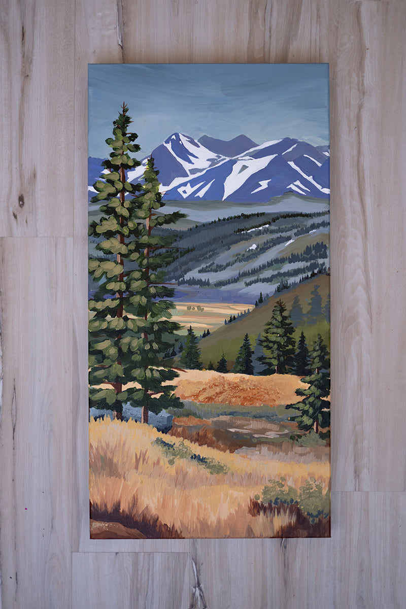 Mountain Board