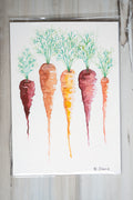 Carrots