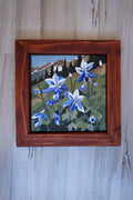 8x8 Original Painting - Alpine Columbines