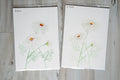 Daisies