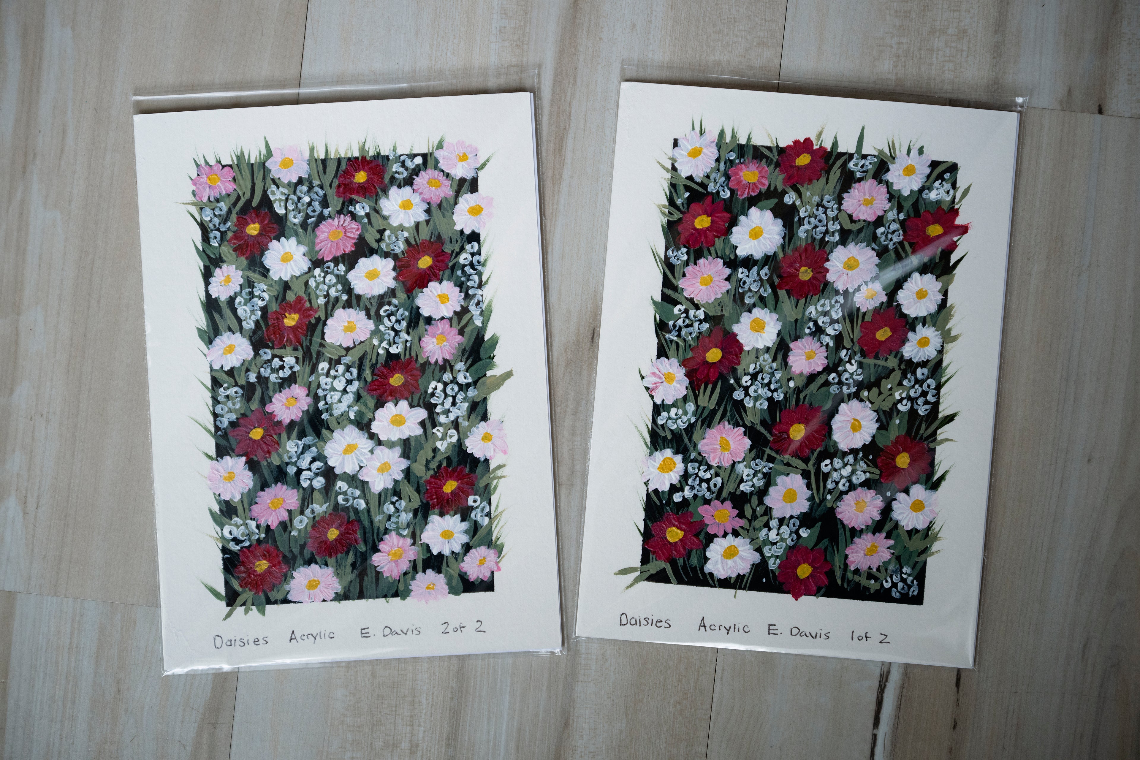 5x7 Daisies