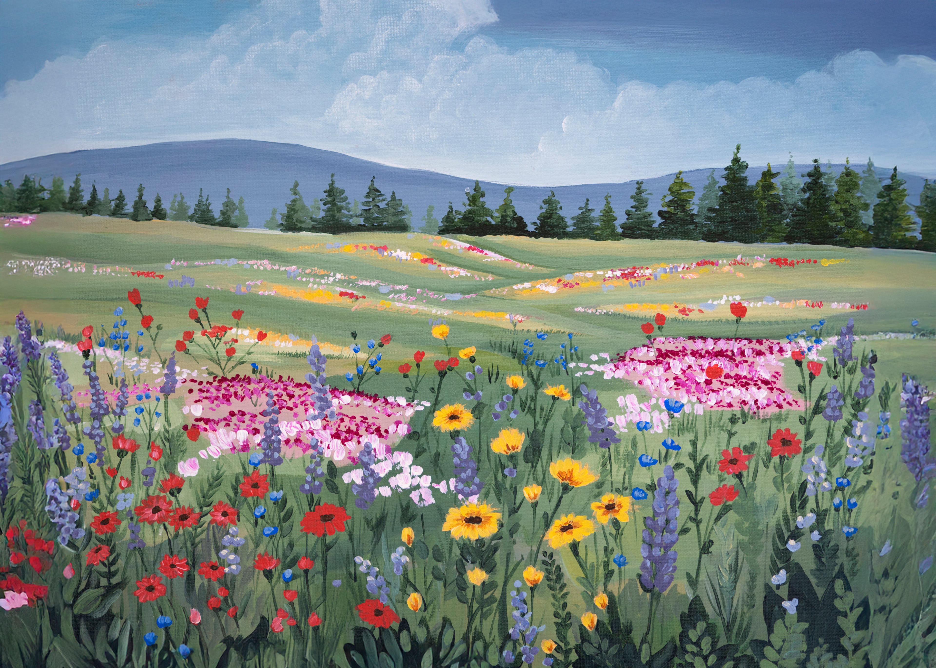 Wildflower Meadow