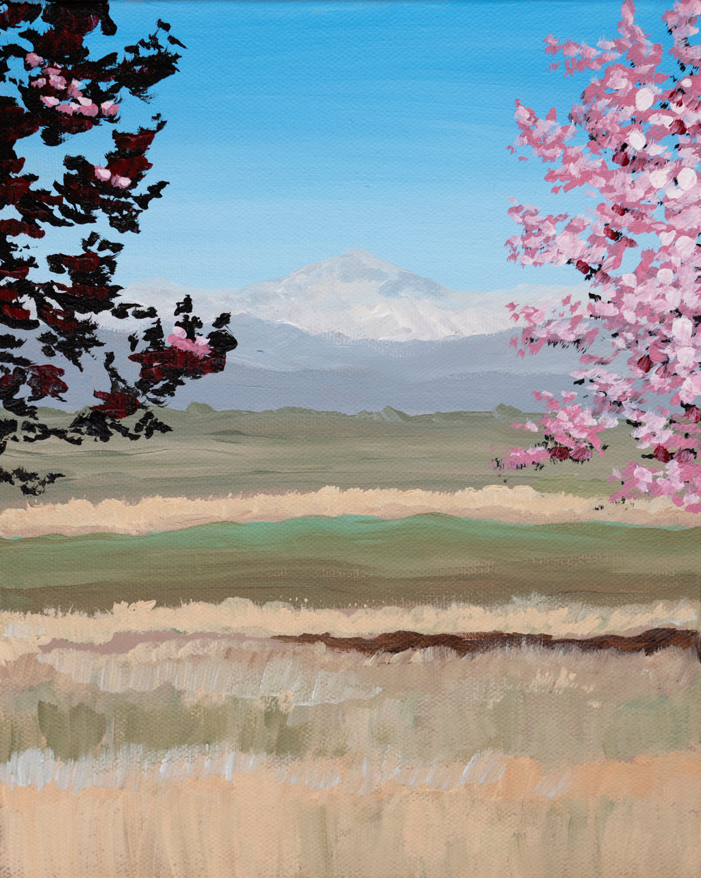 Front Range on Bloom