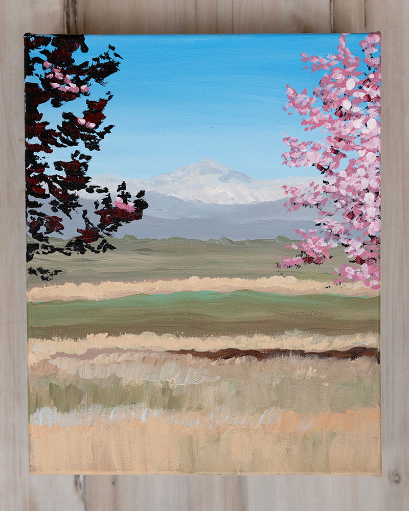 Front Range on Bloom
