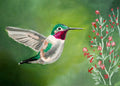 Hummingbird 5x7 Original Acrylic Painting