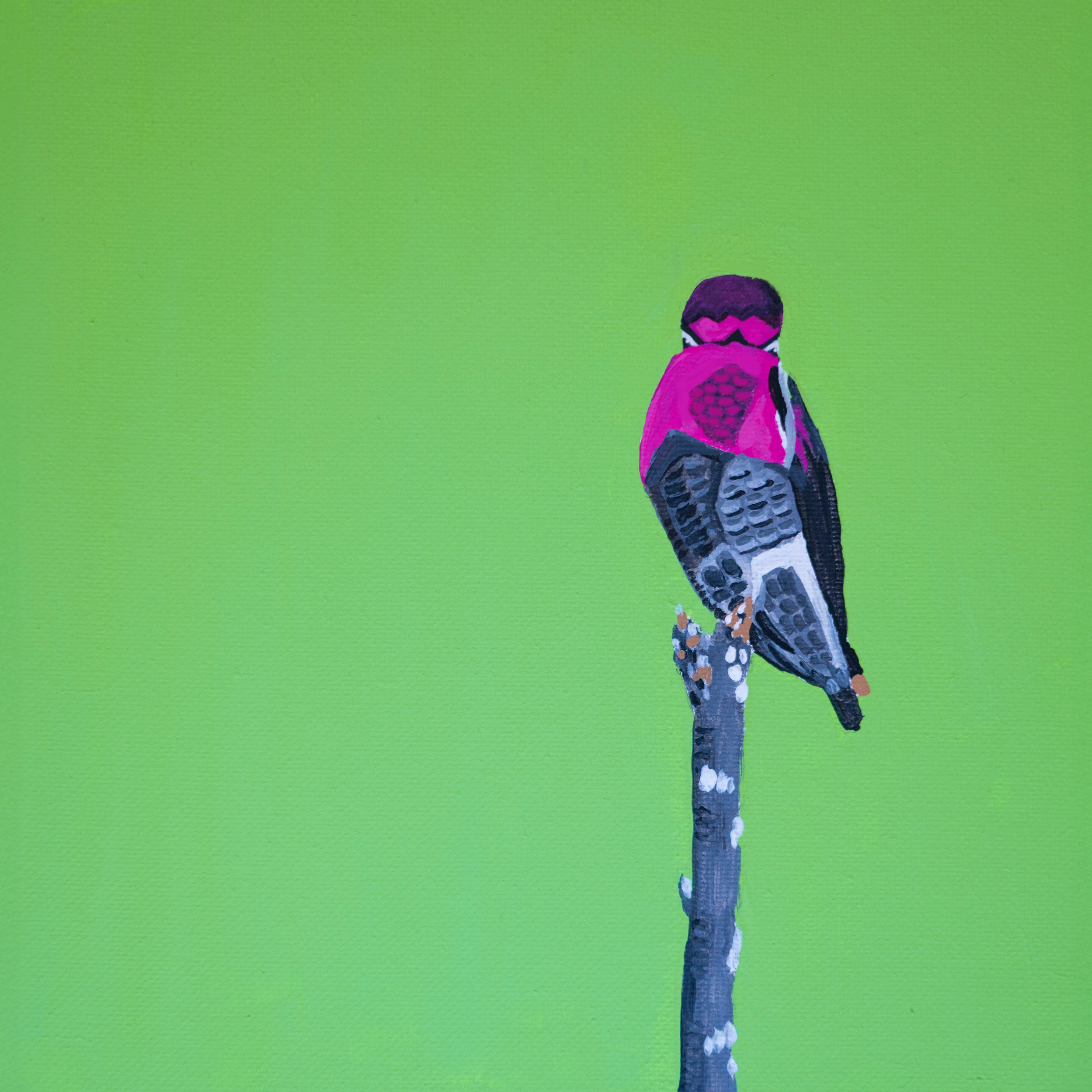 Hummingbird