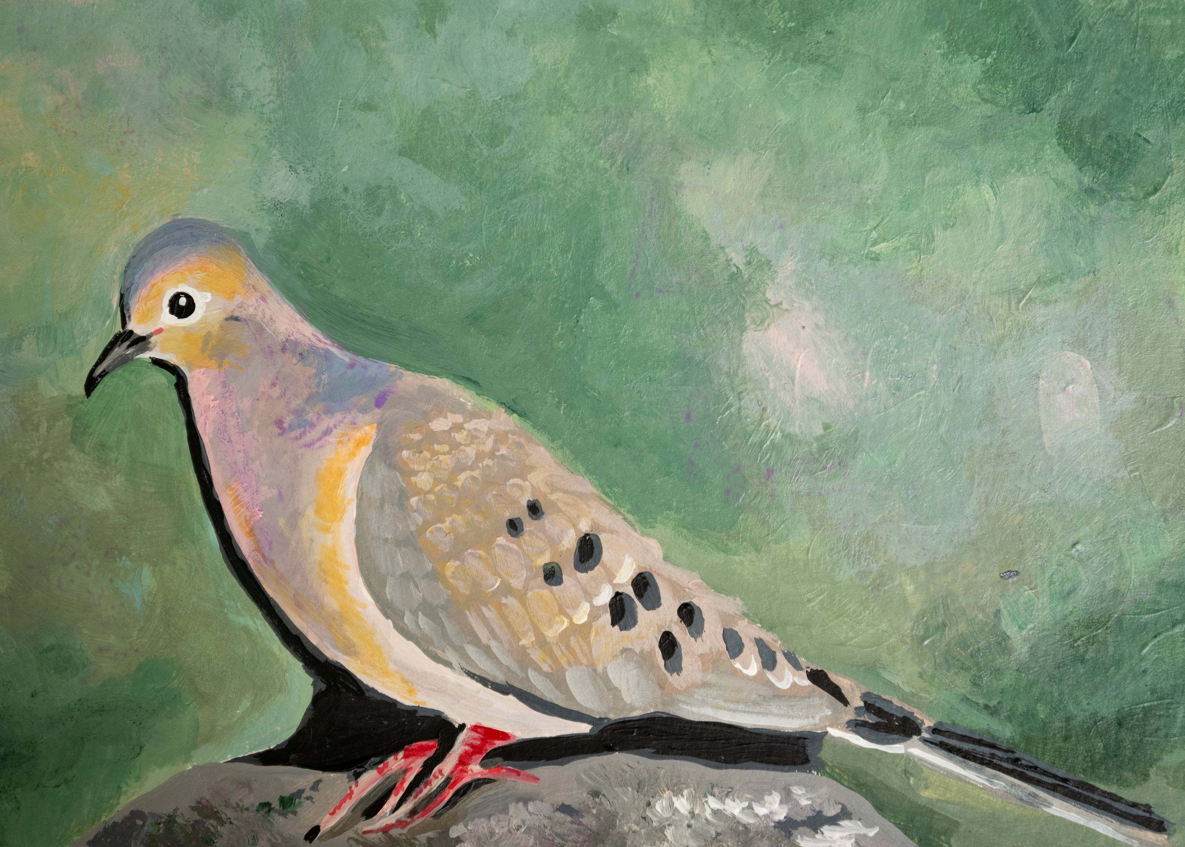 Mourning Dove 5x7 Original Acrylic Painting