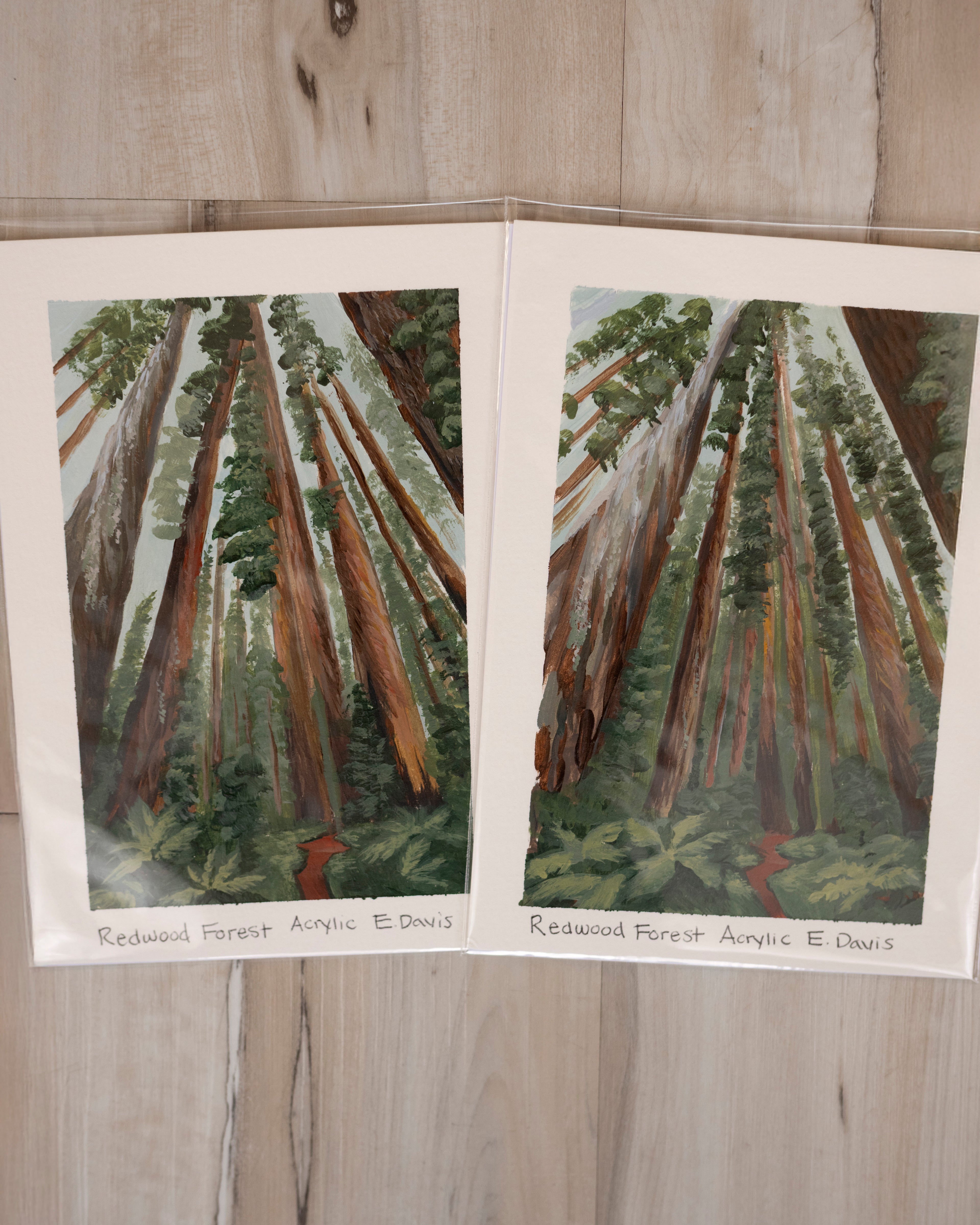 5x7 Original Painting - Redwood Forest