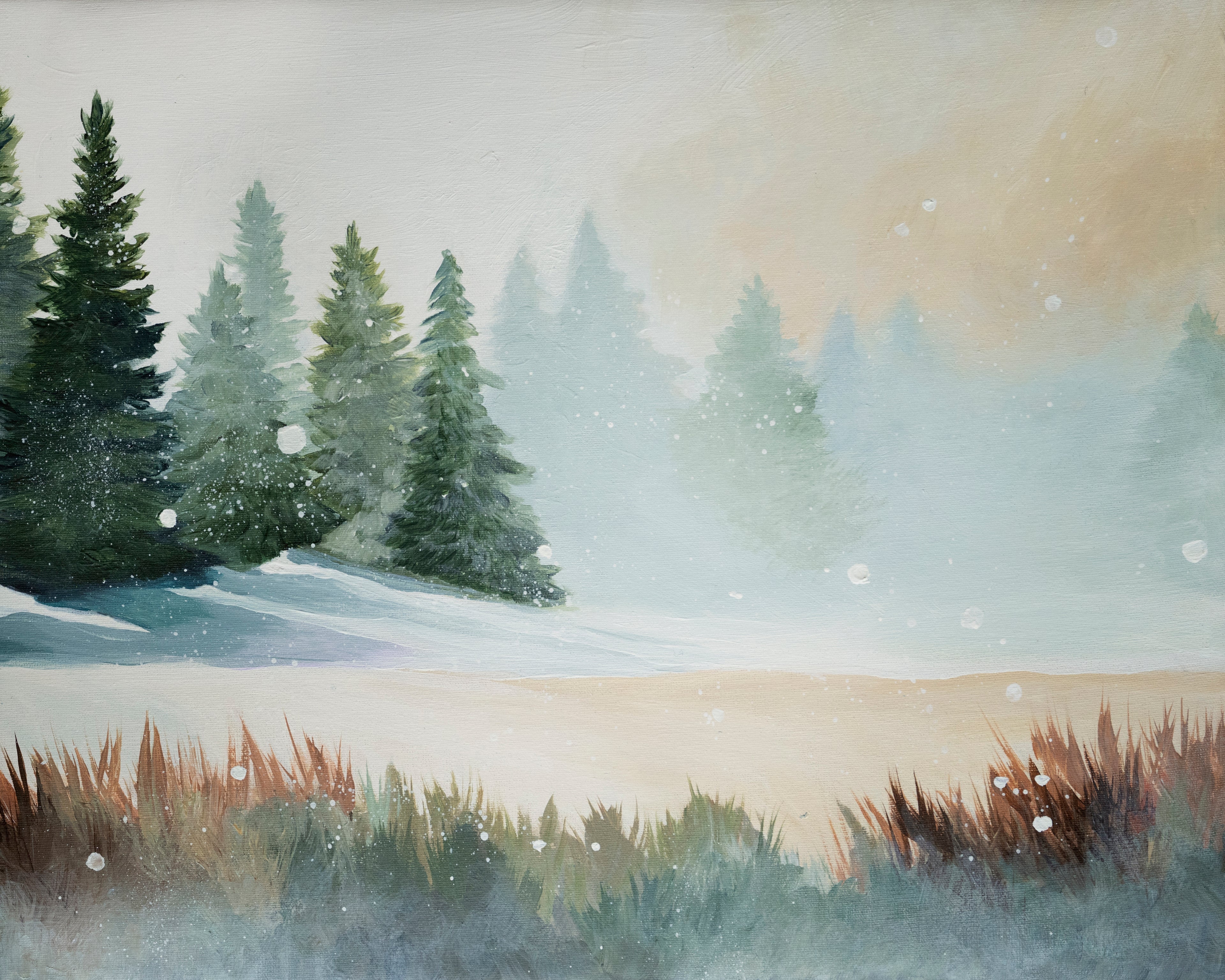 Snowy Pass