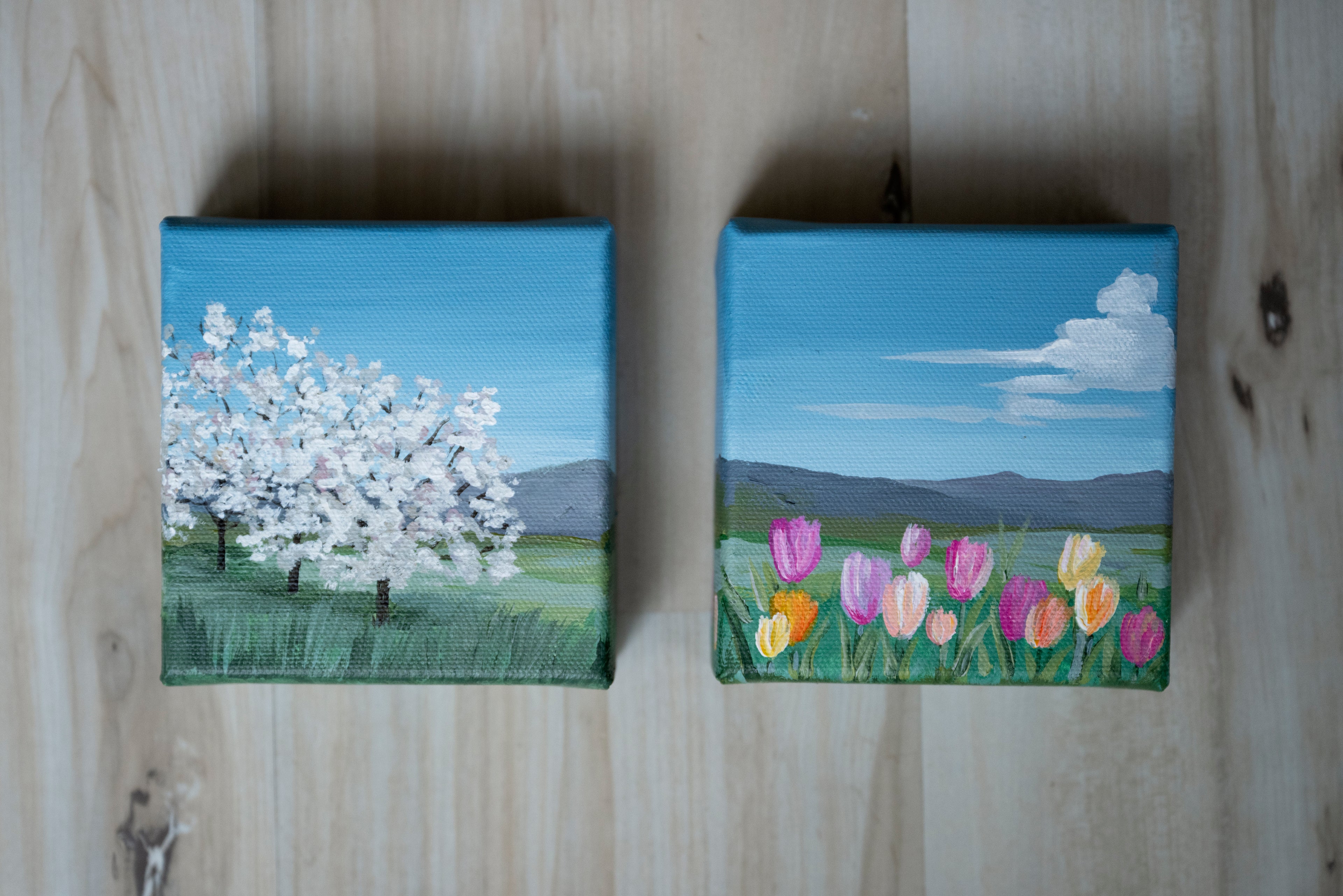 Spring Blocks