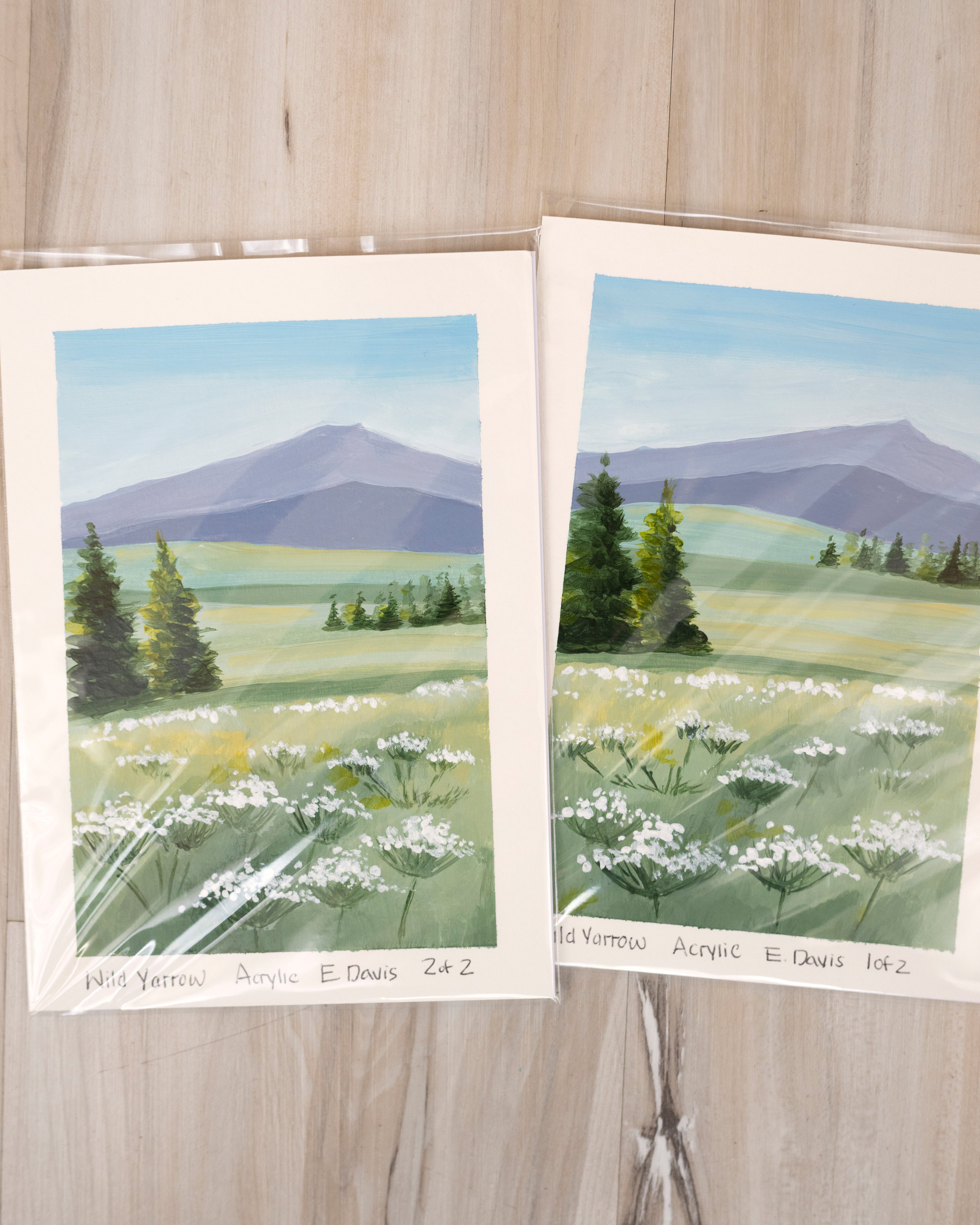 5x7 Original Painting - Wild Yarrow