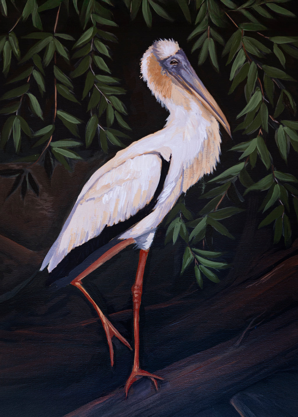 Wood Stork