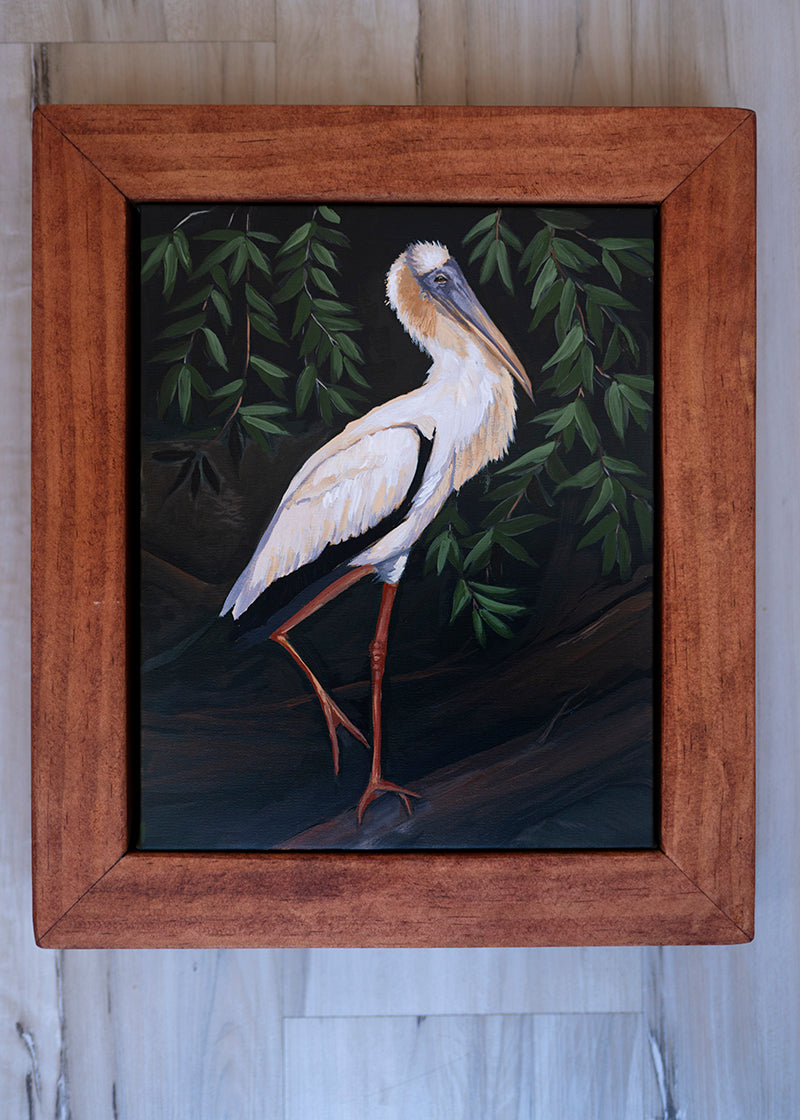 Wood Stork