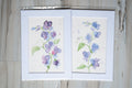 Blue Sweet Pea