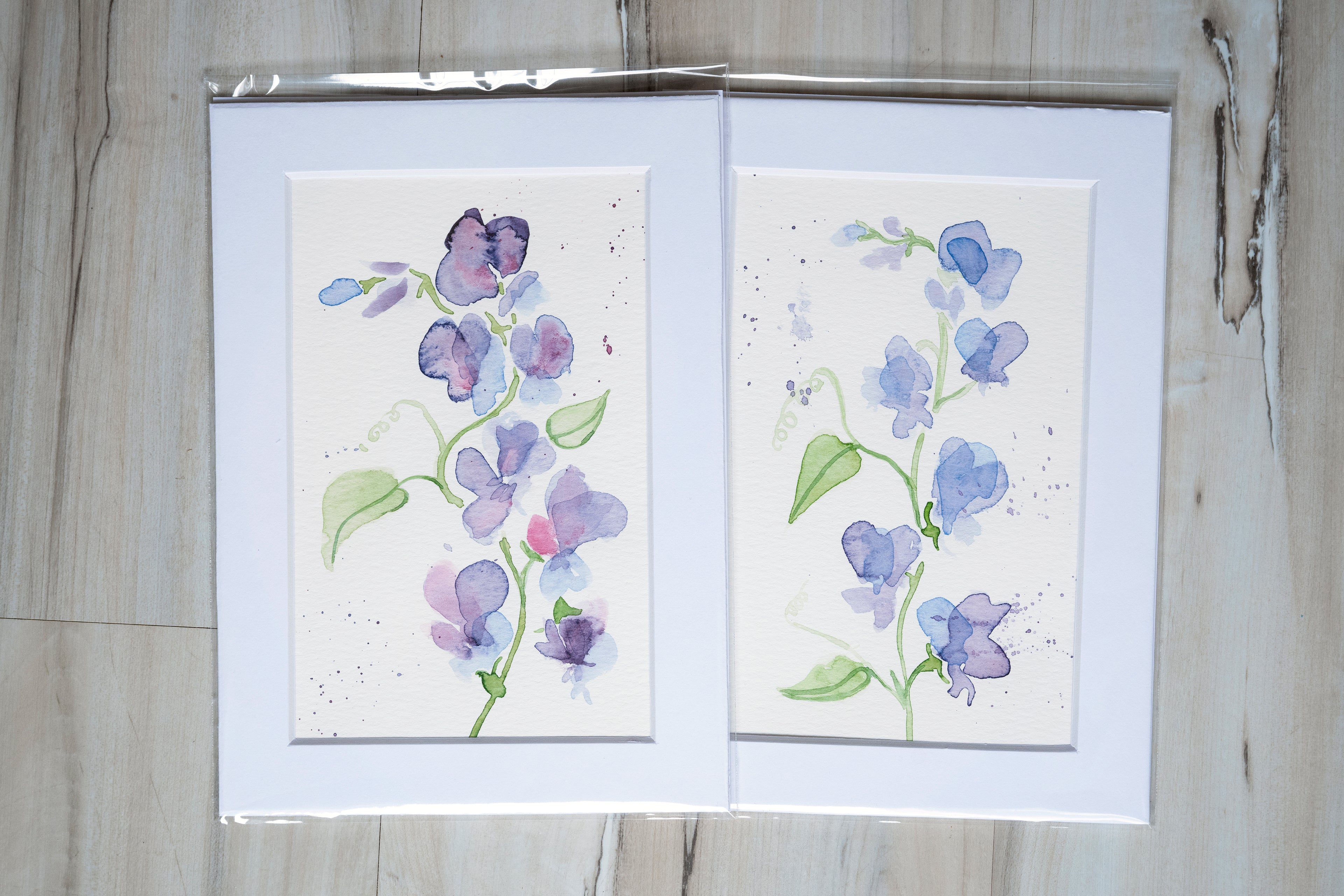 Blue Sweet Pea