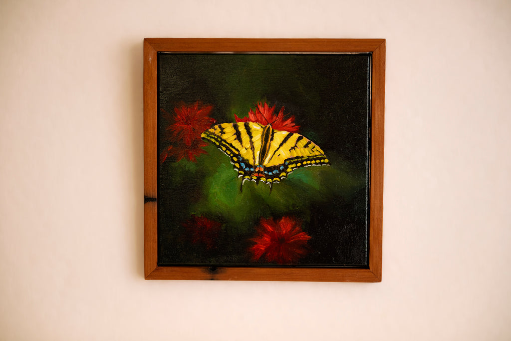 Tiger Swallowtail