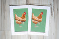Chicken