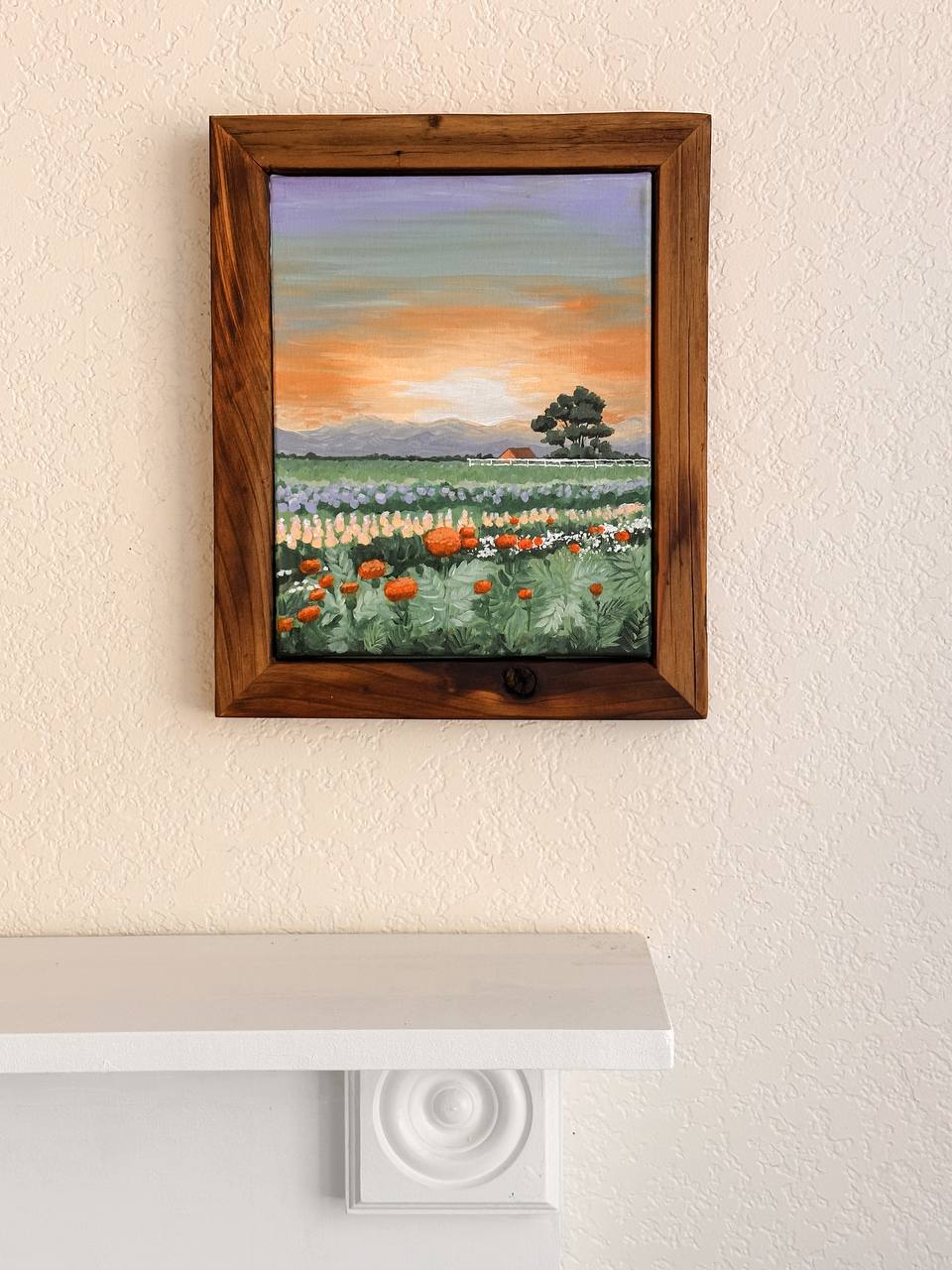 Wozani Farm - Frederick, Colorado