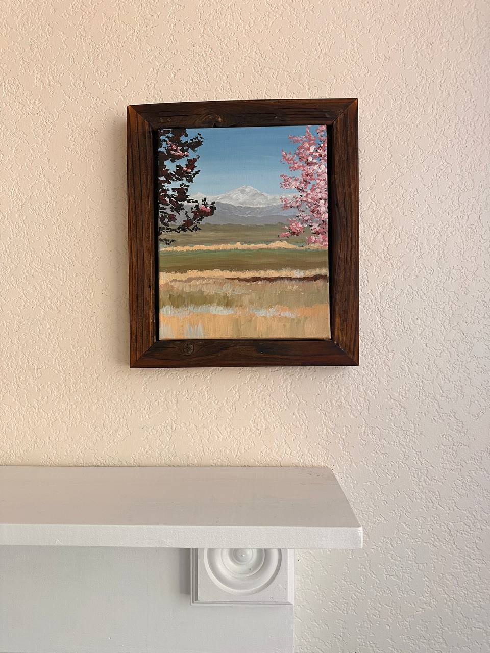 Front Range on Bloom