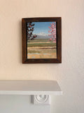 Front Range on Bloom