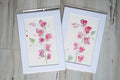 Pink Sweet Peas