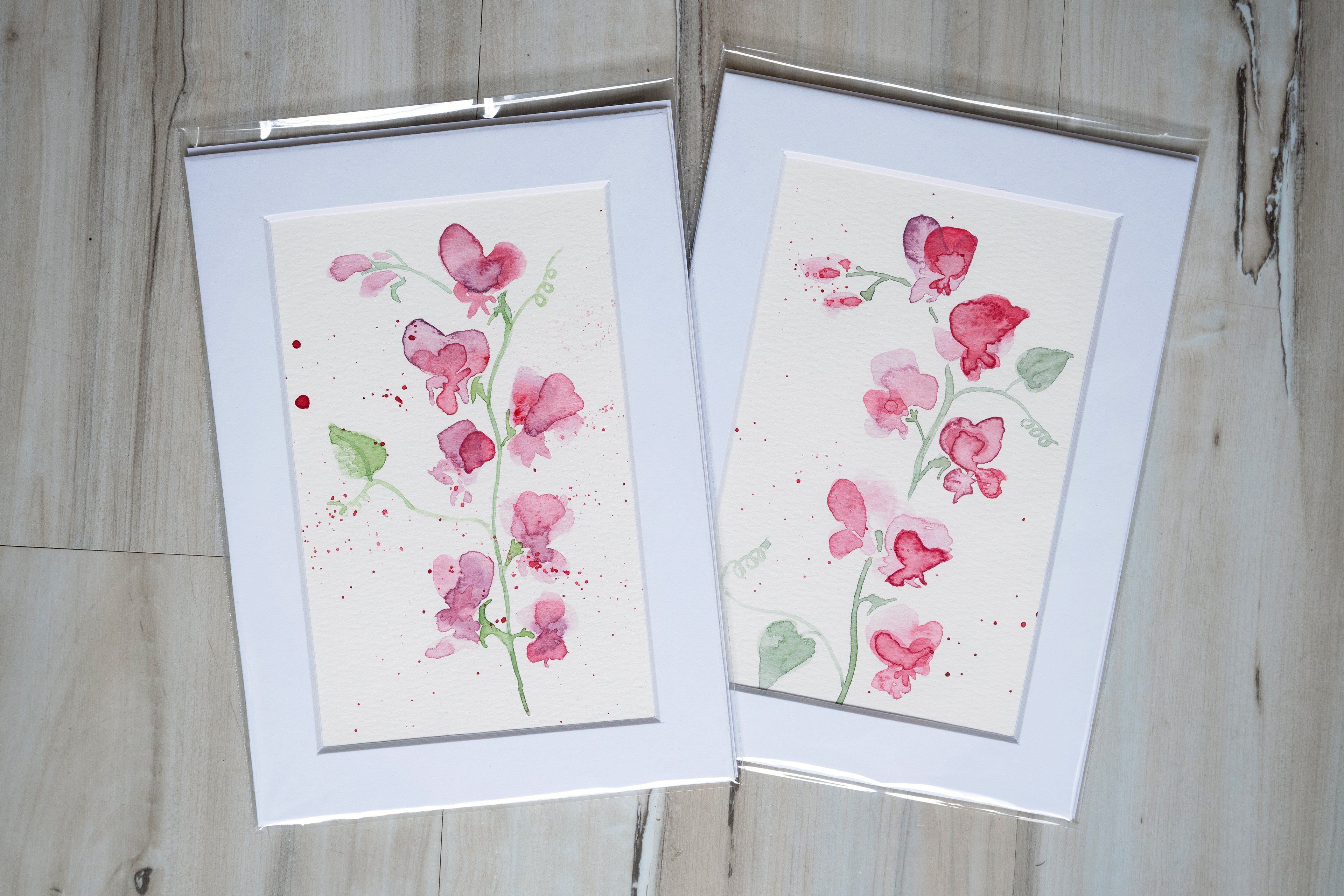 Pink Sweet Peas